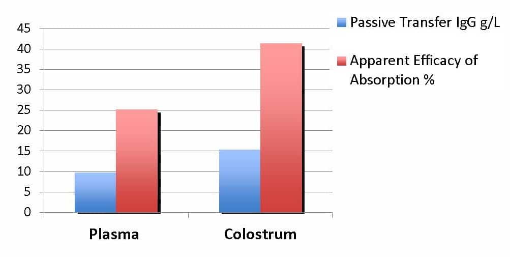colostrum transfer chart