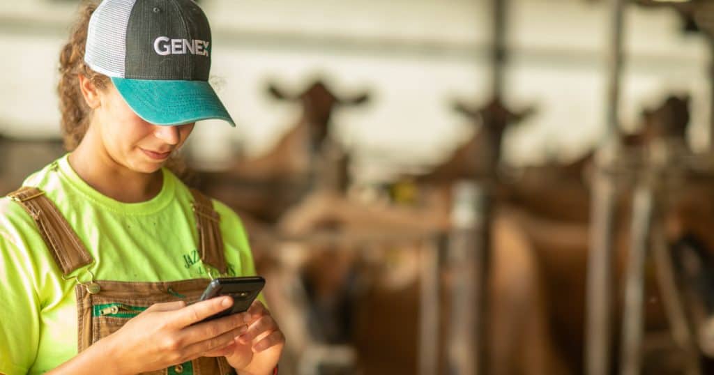 Female on phone on dairy farm