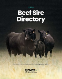 2024 GENEX Beef Sire Directory Cover