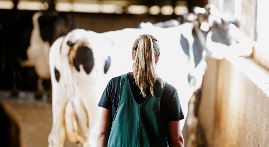 Jen McCormick walks behind a cow wearing a GENEX HerdMonitor™ tag