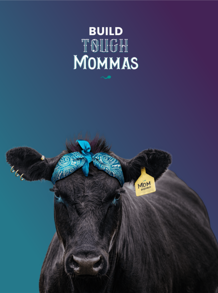 Beef Mommas - GENEX