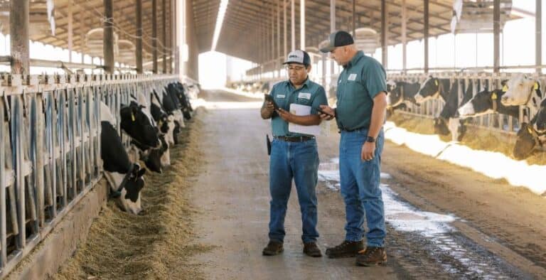 two men standing in a barn looking at their phones