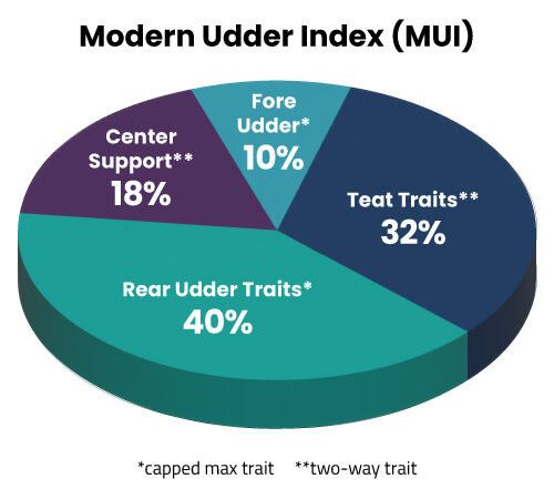 MUI Pie Chart
