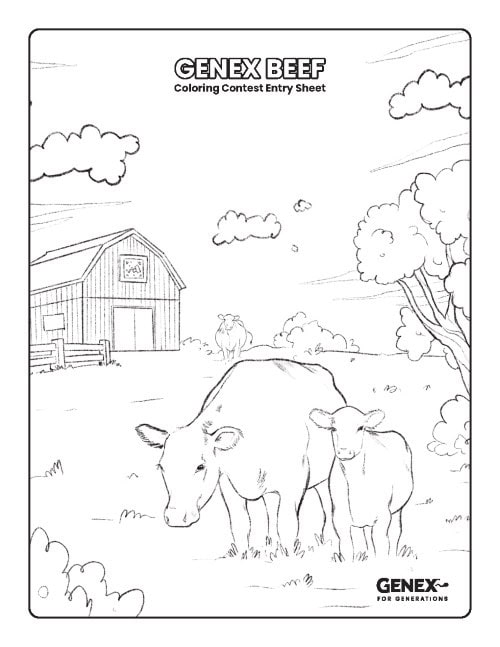 Coloring Contest - Beef Coloring Sheet