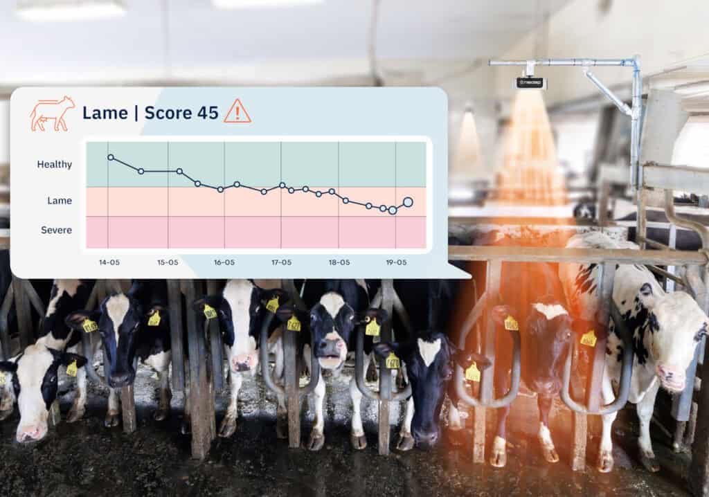 GENEX SmartSight Lame Score 45