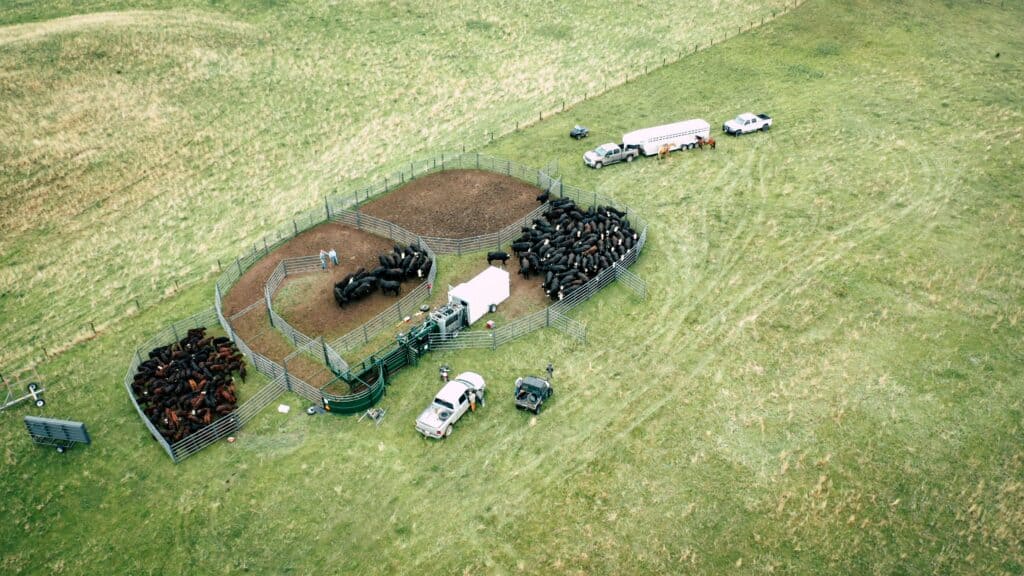 Arial of Breeding Project